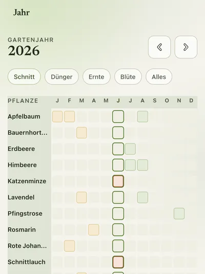 Jahresübersicht: wann welche Pflanze geschnitten wird